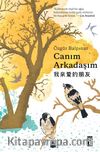 Canım Arkadaşım