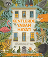 Kentlerde Yaban Hayatı