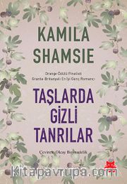 Taşlarda Gizli Tanrılar