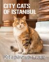 City Cats of Istanbul