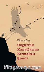 Özgürlük Kanatlarımı Kırmaktır Şimdi