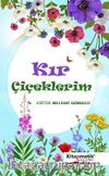 Kır Çiçeklerim