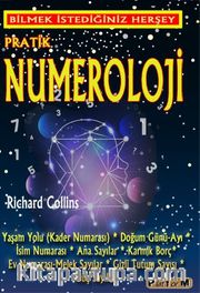 Pratik Numeroloji