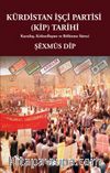 Kürdistan İşçi Partisi (KİP) Tarihi & Kuruluş, Kitleselleşme ve Bölünme Süreci