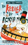 Bu Kediler Bir Acayip