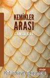 Kemikler Arası
