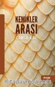 Kemikler Arası