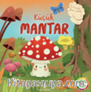 Küçük Mantar  