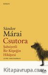 Csutora & Şahsiyetli Bir Köpeğin Hikayesi