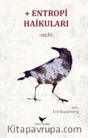 Entropi Haikuları