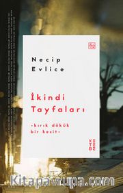İkindi Tayfaları <br /> Kırık Dökük Bir Kesit