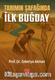 Tarımın Şafağında İlk Buğday