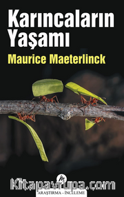 Karıncaların Yaşamı 