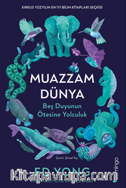 Muazzam Dünya: Beş Duyunun Ötesine Yolculuk