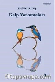 Kalp Yansımaları