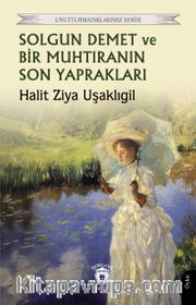 Solgun Demet ve Bir Muhtıranın Son Yaprakları