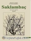 Saklambaç