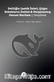 Deliliğin Lastik İzleri, Çılgın Sokakların İlahisi <br /> Parçalanmış Cennet Haritası 