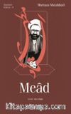 Mead