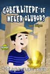 Göbeklitepe'de Neler Oluyor? 