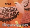 Her Çağın Masalı: : Bozdoğan'la Sarı Yılan