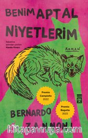 Benim Aptal Niyetlerim