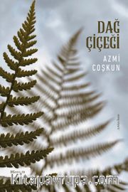 Dağ Çiçeği