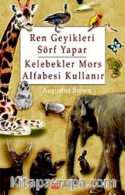 Ren Geyikleri Sörf Yapar Kelebekler Mors Alfabesi Kullanır