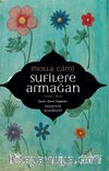 Sufilere Armağan