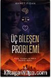 Üç Bileşen Problemi 