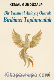 Bir Yazınsal Anlayış Olarak Birikimci Toplumculuk