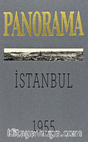 Bir İstanbul Panoraması 1955 (Gri) /  An Istanbul Panorama 1955