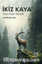 İkiz Kaya <br /> Yarım Kalan Yolculuk