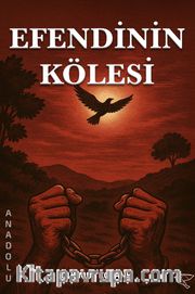 Efendinin Kölesi