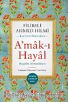 Amak-ı Hayal