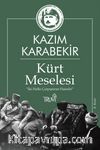 Kürt Meselesi