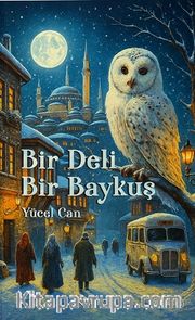 Bir Deli Bir Baykuş