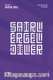 Şairler Geldiler <br /> Günümüz Türk Şiiri Soruşturması