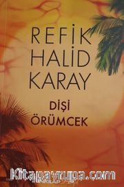 Dişi Örümcek