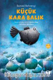 Küçük Kara Balık