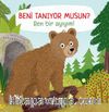 Beni Tanıyor Musun? Ben Bir Ayıyım!