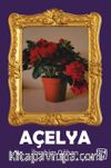 Açelya