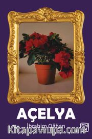 Açelya