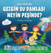 Gezgin Su Damlası Neyin Peşinde?