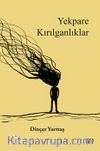 Yekpare Kırılganlıklar