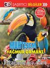 3D Şaşırtıcı Bilgiler / Muhteşem Yağmur Ormanı