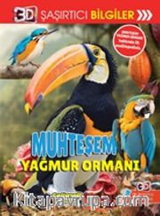 3D Şaşırtıcı Bilgiler / Muhteşem Yağmur Ormanı