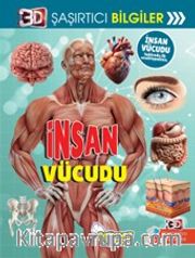 3D Şaşırtıcı Bilgiler / İnsan Vücudu