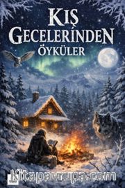 Kış Gecelerinden Öyküler