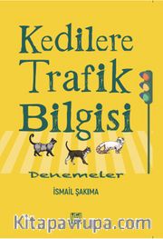 Kedilere Trafik Bilgisi <br /> Denemeler